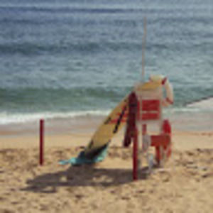 Meet your Posher, Maggie